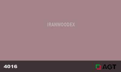 هایگلاس مات و پلاس ای جی تی-4016-PINK DAISY