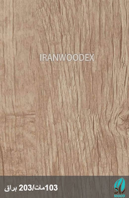 صفحه کابینت رادوود کدهای ۱۰۳ و ۲۰۳
