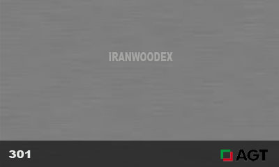 هایگلاس ای جی تی کد 301-New Inox