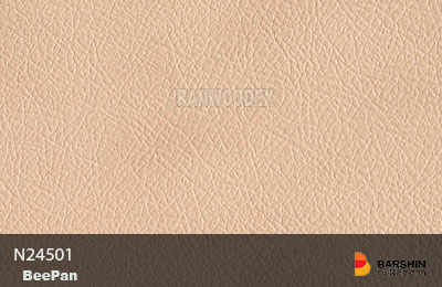 ام دی اف بارشین نیمن-بی پان N24501