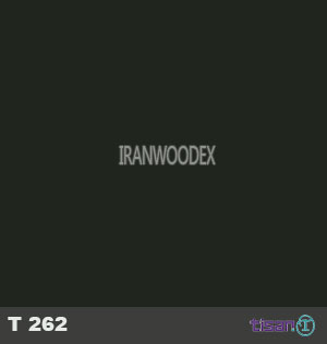 ام دی اف تیسان T262 سوپر مات