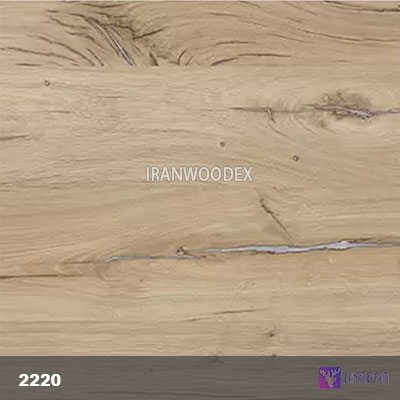 ام دی اف ویسپان گروه کلاسیک C2220