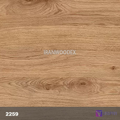 ام دی اف ویسپان گروه کلاسیک C2259