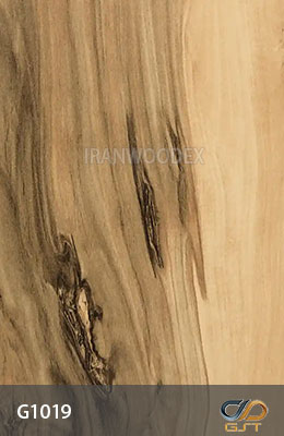 صفحه کابینت جی اس تی کد G1019