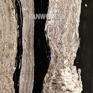 سنگ مارمونایت MRR8121-RADIANT COPACABANA.jpg